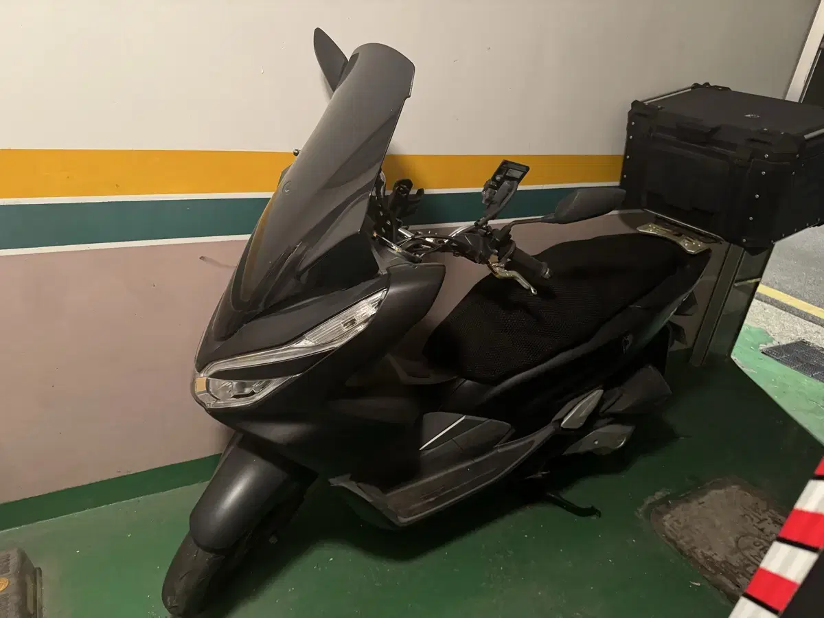 Pcx 19년식 팜